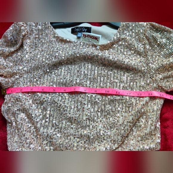 Crystal Sky Champagne Color Sequins Mini Dress - Size XS - Picture 5 of 8
